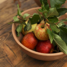 Load image into Gallery viewer, OTTA Terracotta Bowl