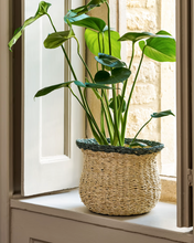Load image into Gallery viewer, HAYWARD Fluted Plant Pot
