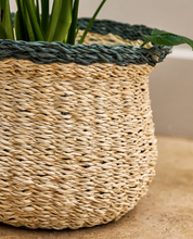 Load image into Gallery viewer, HAYWARD Fluted Plant Pot