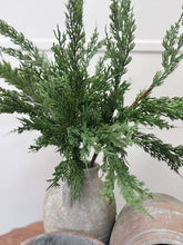 Load image into Gallery viewer, Conifer Stem