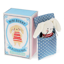 Load image into Gallery viewer, Mini Bunny In A Little Box