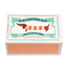Load image into Gallery viewer, Mini Sausage Dog In A Little Box