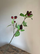 Load image into Gallery viewer, Blackberry Spray