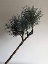 Load image into Gallery viewer, Luxury Pinus Branch