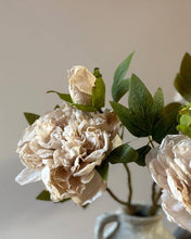 Load image into Gallery viewer, Full Bloom Double Peony - Nude