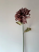 Load image into Gallery viewer, Vintage Dahlia - Mocha Fudge