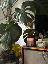 Load image into Gallery viewer, Atina Candle - Tomato &amp; Mint Leaf