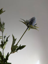 Load image into Gallery viewer, Blue Thistle