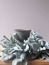 Load image into Gallery viewer, Cineraria Silver Leaf Bunch