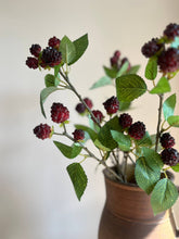 Load image into Gallery viewer, Blackberry Spray