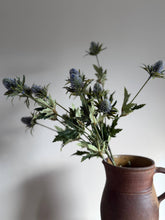 Load image into Gallery viewer, Blue Thistle