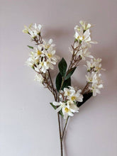 Load image into Gallery viewer, Summer Time Blossom - White