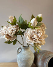 Load image into Gallery viewer, Full Bloom Double Peony - Nude