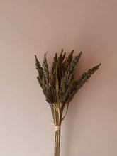 Load image into Gallery viewer, Wheat Bunch - Green