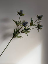 Load image into Gallery viewer, Blue Thistle