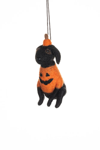 Dog In Pumpkin Outfit