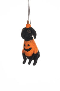 Dog In Pumpkin Outfit