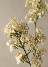 Load image into Gallery viewer, Faux Blush Linen Lilac Stem