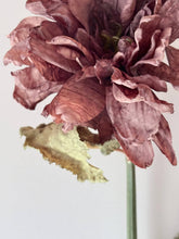 Load image into Gallery viewer, Vintage Dahlia - Mocha Fudge