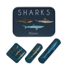 Load image into Gallery viewer, Children's plasters in a tin (30 pcs) - Sharks