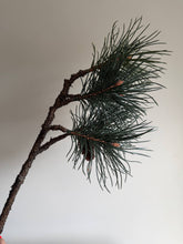 Load image into Gallery viewer, Luxury Pinus Branch