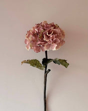 Load image into Gallery viewer, Vintage Hydrangea - Dusky Pink