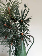 Load image into Gallery viewer, Luxury Pinus Branch