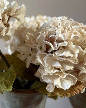 Load image into Gallery viewer, Vintage Hydrangea - Nude