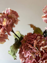 Load image into Gallery viewer, Vintage Hydrangea - Dusky Pink