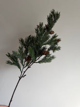 Load image into Gallery viewer, Spruce Spray Mini Pine Cones