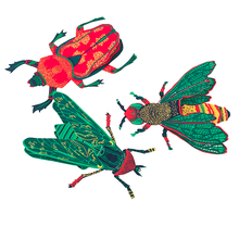 Load image into Gallery viewer, Scarab Beetle Greetings Card