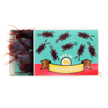 Load image into Gallery viewer, Box of 10 Cockroaches
