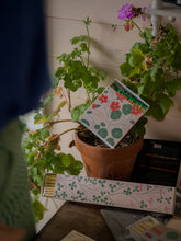 Load image into Gallery viewer, Lucky Clover Long Matches | Long Matchboxes