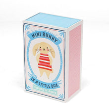 Load image into Gallery viewer, Mini Bunny In A Little Box