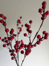 Load image into Gallery viewer, Red Berry Stem