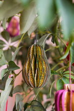 Load image into Gallery viewer, UK/EU: Avocado Honeycomb Ornament