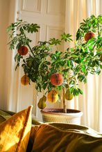 Load image into Gallery viewer, UK/EU: Lemon Honeycomb Ornament