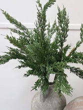 Load image into Gallery viewer, Conifer Stem