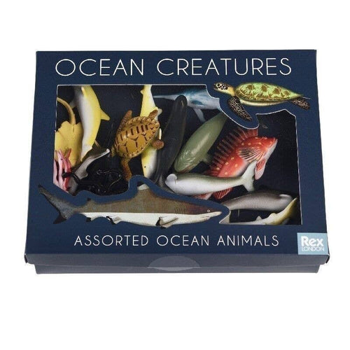 Assorted Ocean Animals (Box of 16)