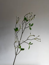 Load image into Gallery viewer, White Winter Berry Spray