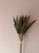 Load image into Gallery viewer, Wheat Bunch - Green
