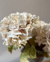 Load image into Gallery viewer, Vintage Hydrangea - Nude