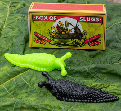 Box of two slimy slugs