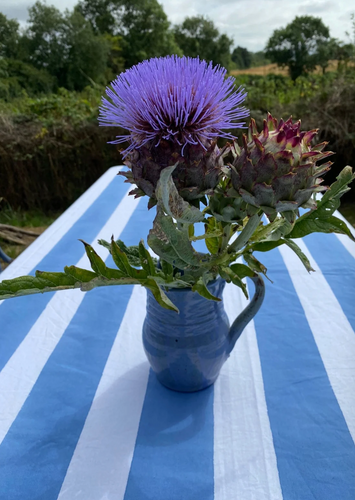 BLUE TWIZZLE STRIPE TABLECLOTH (3m x 1.7m)