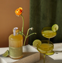 Load image into Gallery viewer, Margarita Mixer 500ml