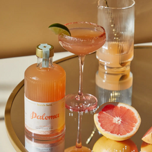 Load image into Gallery viewer, Paloma Mixer 500ml