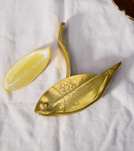 Load image into Gallery viewer, STEVIE FISH citrus juicer