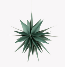 Load image into Gallery viewer, MADDOX CHRISTMAS STAR - ROSEMARY