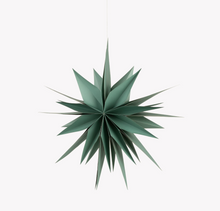 Load image into Gallery viewer, ROSEMARY LARGE Christmas Maddox Star