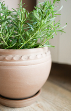 Load image into Gallery viewer, ROUND Tuscan Plant Pot